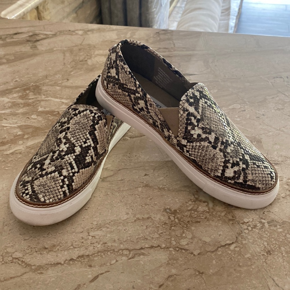 Steve Madden Snakeskin Sneaker